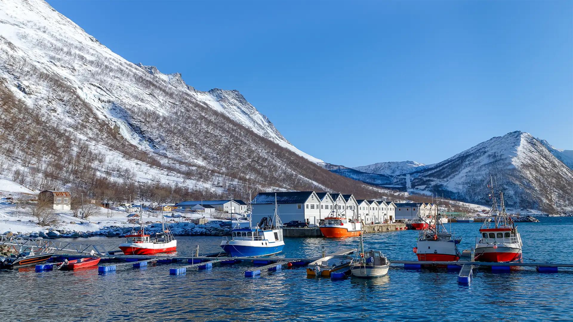 Croisière Légendaire : Sur les Traces des Vikings